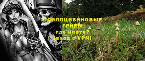 СК Липки