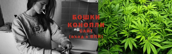 гидра Лиски